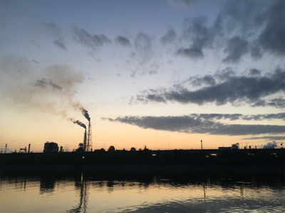 キビレは裏切らない