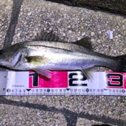 バチパターン三度