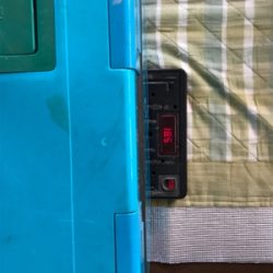 バチコンアジ・メバのはずが…(釣行 其の拾八)