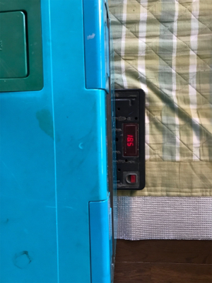 バチコンアジ・メバのはずが…(釣行 其の拾八)