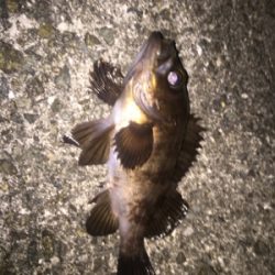 バチパターンメバリング！