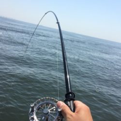 今日は暑いですね〜