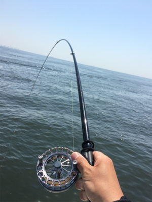 今日は暑いですね〜