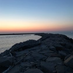 やっぱり面白いメバリング！