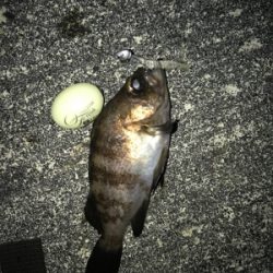 ちょこっとメバリングへ