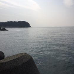 メバリング&ショア