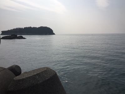 メバリング&ショア