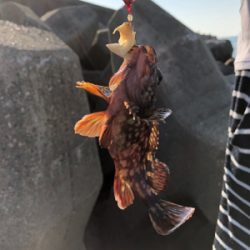 フラッと穴釣り、カサゴ狙い