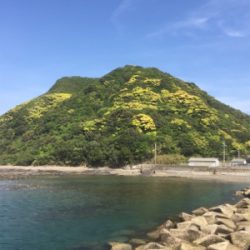 串本春エギング