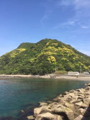 串本春エギング