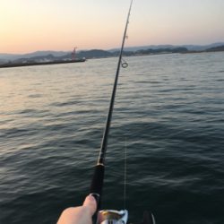 なぜかヒラメが〜〜