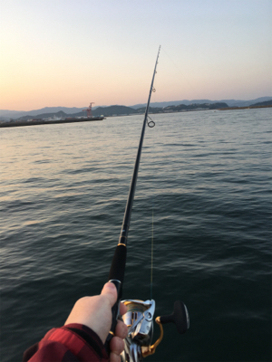 なぜかヒラメが〜〜