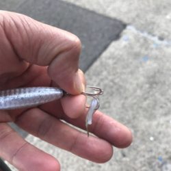 やっと近所で釣れ出した♫