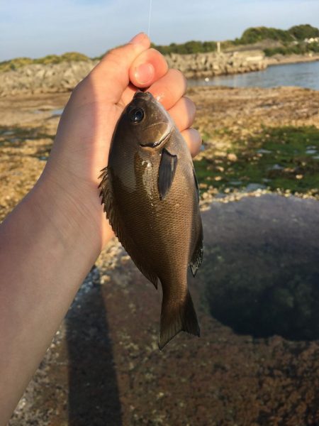 小物釣り