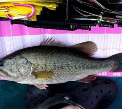 社内対抗バス釣り大会