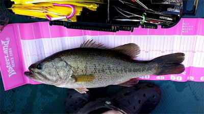 社内対抗バス釣り大会