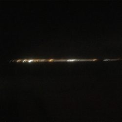 メバルリング病