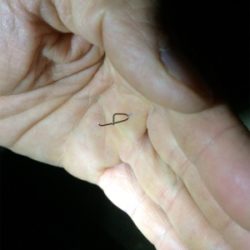 ライトゲームもバチパターン