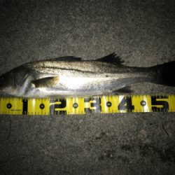 四日市港周辺運河