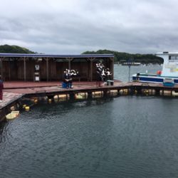 釣堀丸長さんにて