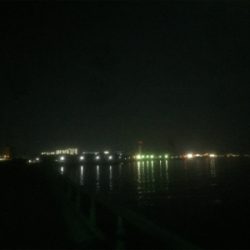 釣れれば牛乳パックサイズ!