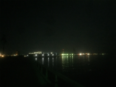 釣れれば牛乳パックサイズ!