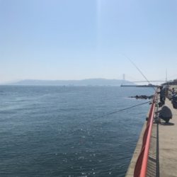 今年第1号（≧∇≦）