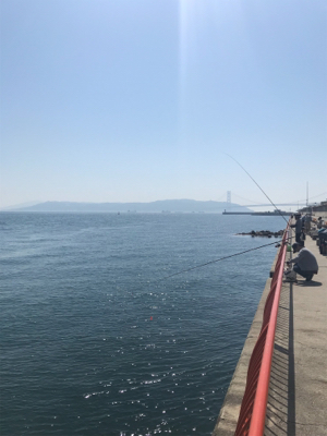 今年第1号（≧∇≦）