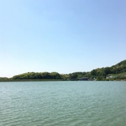 釣りをするにはいい季節になりましたね