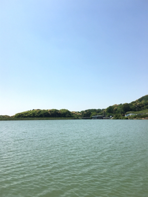 釣りをするにはいい季節になりましたね