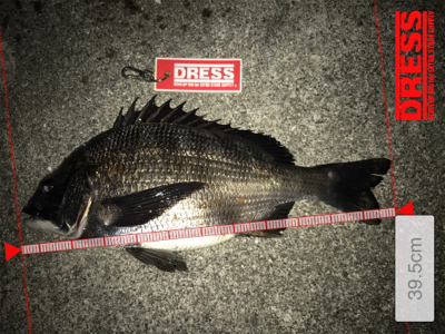 2018年餌釣り初釣り