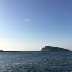 青物ねらいで・・・