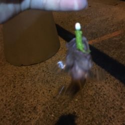 ベイビー&ベイビー