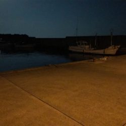 ワームでガシラ