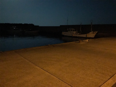 ワームでガシラ