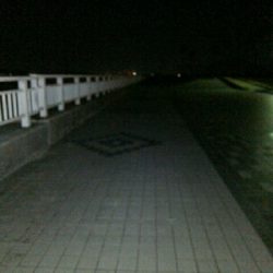 春タチに会いたくて