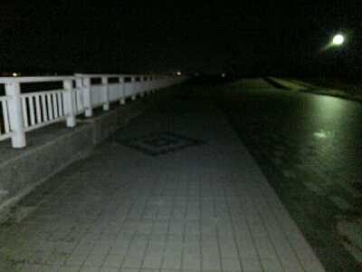 春タチに会いたくて