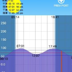 チビメバルチビガシラ
