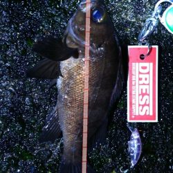 爆風メバルプラッギング！