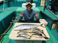 イサキ、アジ時々青物