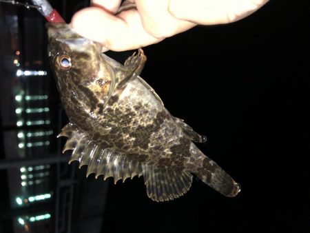 初投稿·天保山でのボトム攻め