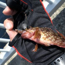 昨日に引き続き