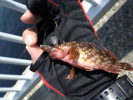 昨日に引き続き