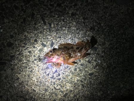 超ライトゲーム