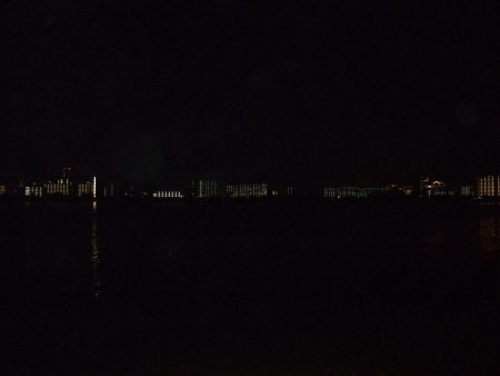 2018 キビレ調査NO、3