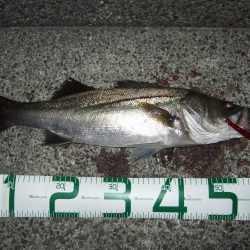 面目保てました!!