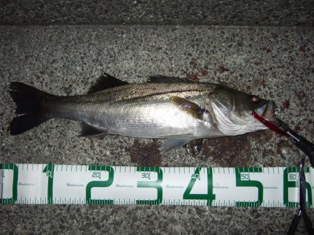 面目保てました!!