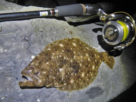 良い引きでした