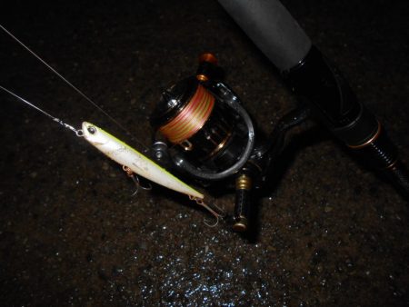 ハイブリッドシーバス？？？(北港周辺シーバス釣行)