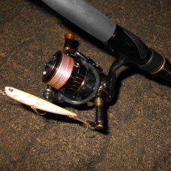 テトラ際のチヌ＆キビレが好調(淀川釣行)